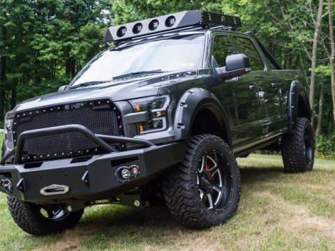 upgraded 2016 Ford F 150 Super Cab Crew custom for sale